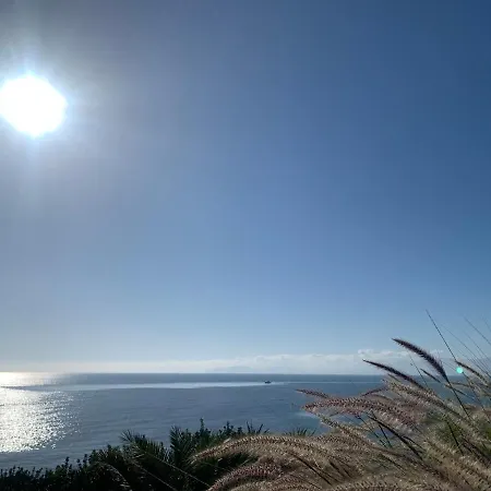 Blanc Ivoire * Cagliari
