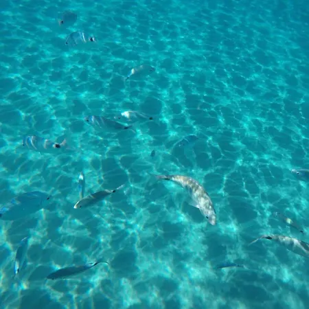 Gæstehus Blanc Ivoire Cagliari
